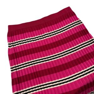 Dolan Anthropologie Womens XL Pink Rose Striped Dora Pleated Pull On Midi Skirt
